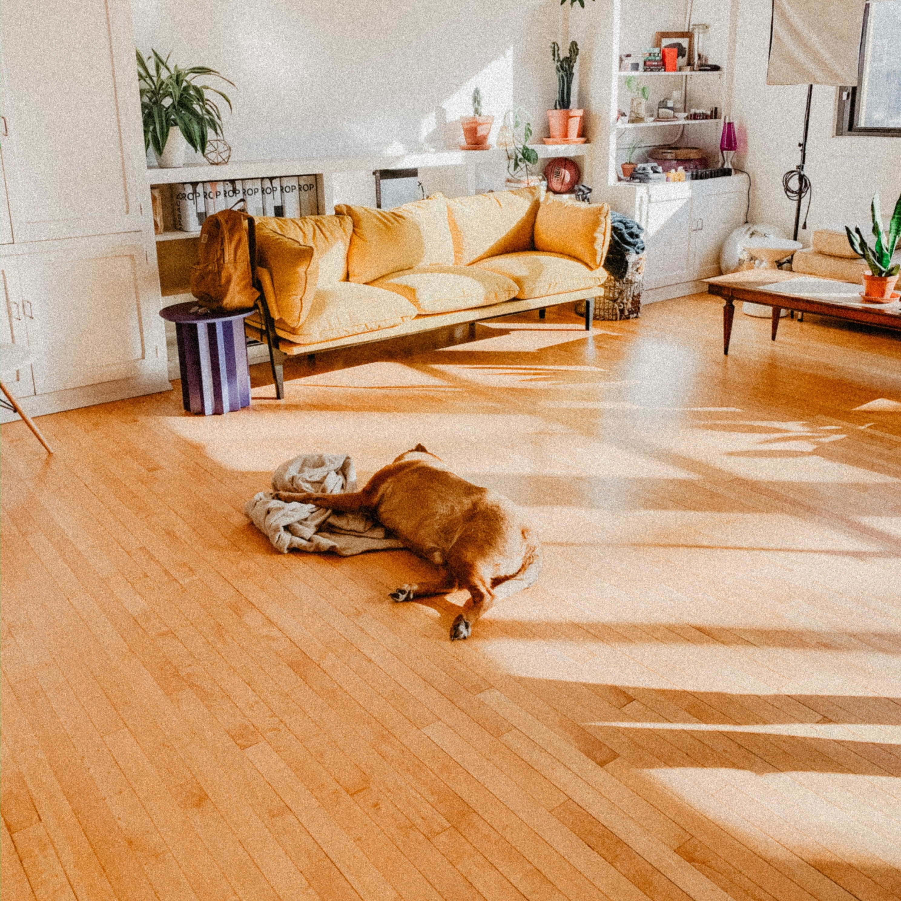 Residential Vinyl Flooring Installation
